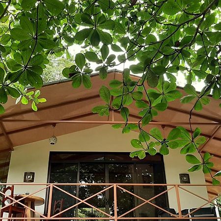 Casa Martina Apartment กาอุยตา ภายนอก รูปภาพ