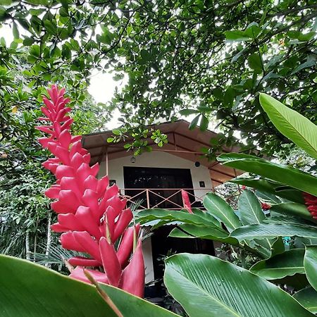 Casa Martina Apartment กาอุยตา ภายนอก รูปภาพ