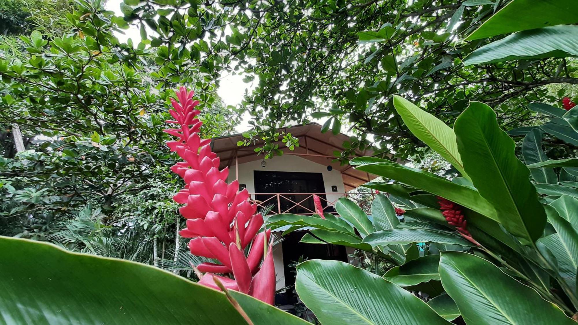 Casa Martina Apartment กาอุยตา ภายนอก รูปภาพ